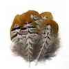 Venda Direta de Fábrica de Quase 100 Tipos de Acessórios Naturais de Penas Pequenas para Joias DIY, Acessórios de Cabeça, Broches, Chapéus, Materiais de Decoração para Artesanato
