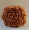 Materiais de artesanato de casca de fruta natural, chocalhos de casca de fruta para sinos de vento, materiais de cipó, bonecas de casca de fruta, kit de materiais de casca de fruta para DIY