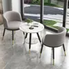 Conjunto de Mesa e Cadeiras Três Peças de Luxo Leve Combinação Duas Cadeiras Mesa Redonda Influenciador da Internet Simples Varanda Recepção Mesa Criativa de Lazer