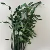 Pequeña Cola de Conejo de Caña Hierba Flor Inmortal Ramo DIY Producto Terminado Decoración Flor Real Adornos de Instagram Hierba de la Pampa Flores Secas Transfronterizo