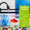 Iluminação para Aquário para Aquascaping, Holofote LED Zoomável para Aquário, Tanque Tradicional, Tanque Sul-Americano, Tanque de Riacho Nativo, Visualização de Aquário