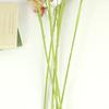 Simulación Orquídea Gorrión de 3 Ramas Orquídea Mariposa Boda Decoración Floral para Boda Cymbidium Suave Falanopsis Paloma