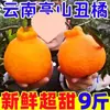 Tangerinas Fuyu de Yunnan 5kg Fruta Fresca Sazonal Caixa Inteira Frete Grátis Venda Direta