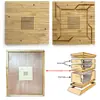 Producto Nuevo Transfronterizo Tablero de Escape de Abejas Cuadrado Portátil Tablero de Partición de Colmena Cosecha de Miel sin Presión Productos de Madera