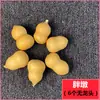 Adorno Colgante de Calabaza Pequeña Natural Pieza de Mano Redonda Tallado Lenticular Barriga Tres Semillas