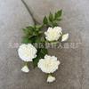 Boda Estilo Coreano con Plantas Verdes Frescas, Decoración de Ramo de Flores Atado a Mano de Graduación, Arreglo Floral, Decoración de Flores Artificiales Estilo Jardín Monet Estilo Bosque