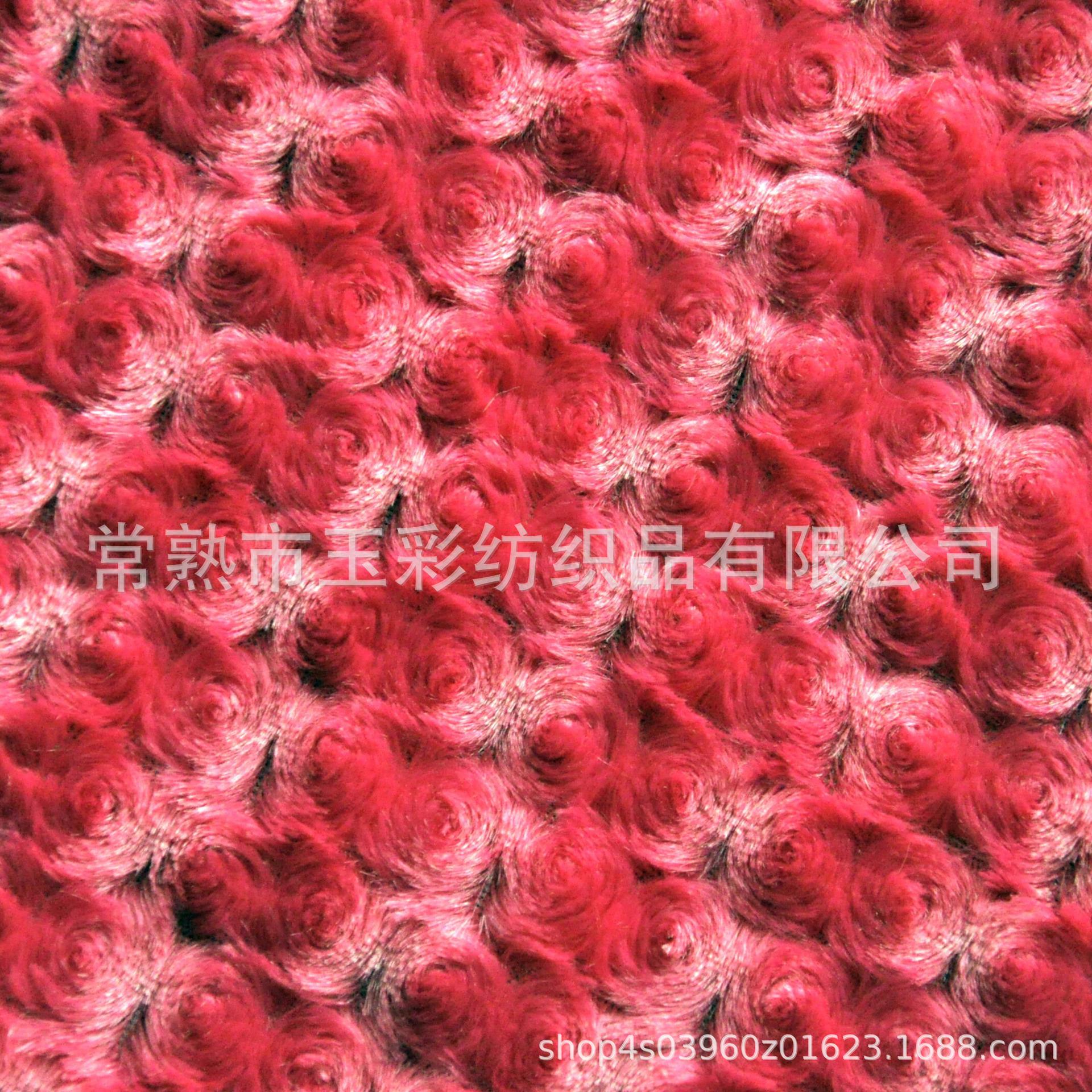 CSC_5707a