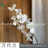 Flor Artificial de Alta Calidad Bandai Orquídea Bandai Orquídea Decoración de Boda Decoración Suave Arreglo Floral Phalaenopsis Orquídea Ramillete Ramo de Mano