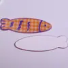 Parche de Pescado Cuadros Lindo de Dibujos Animados Acrílico Parche DIY Accesorios para el Cabello Tocado Pin Lateral Pasador Pasador Joyería Accesorios