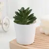 Suculenta artificial en maceta Diamante pequeño bonsái decoración planta verde de oficina venta caliente transfronteriza planta suculenta mayoreo
