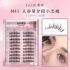 M43 GGRG Song Ran Pestañas Postizas Gran Capacidad Dibujos Animados Ramilletes Individuales Deviruchi Transparente Terrier Maquillador Pestañas Postizas