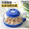 Incubadora Pequeña para el Hogar Totalmente Automática Incubadora de Huevos de Pollo Inteligente Platillo Volador Pequeño Incubadora de Huevos de Pollo Loro Rutina
