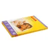 Papel Fotográfico Kodak A4 6 Pulgadas 5 Pulgadas 7 Pulgadas 230g Papel Fotográfico Alto Brillo 4R Impermeable Impresión de Inyección de Tinta Papel Fotográfico Rc Venta al por Mayor