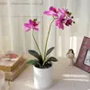 Orquídea Phalaenopsis artificial de dos ramas con hojas, planta pequeña en maceta para decoración de mesa, adecuada para decoración de hogar, estudio, restaurante, hotel y centro comercial, oferta especial