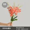 Orquídeas Phalaenopsis Artificiales de 5 Puntas y 20 Cabezas para Centros de Mesa de Boda y Decoración de Inauguración