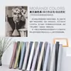 Adesivos de Papel de Parede Cor Morandi para Meninas, Adesivos Autoadesivos para Bares, Adesivos Instantâneos para Educação Infantil, Jardim de Infância e Artesanato Criativo