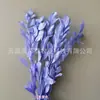 Arranjo de flores eternas folha laranja com ramos de folhagem, materiais florais DIY com toque de alta qualidade, atacado de fabricante de Yunnan, decoração de flores eternas