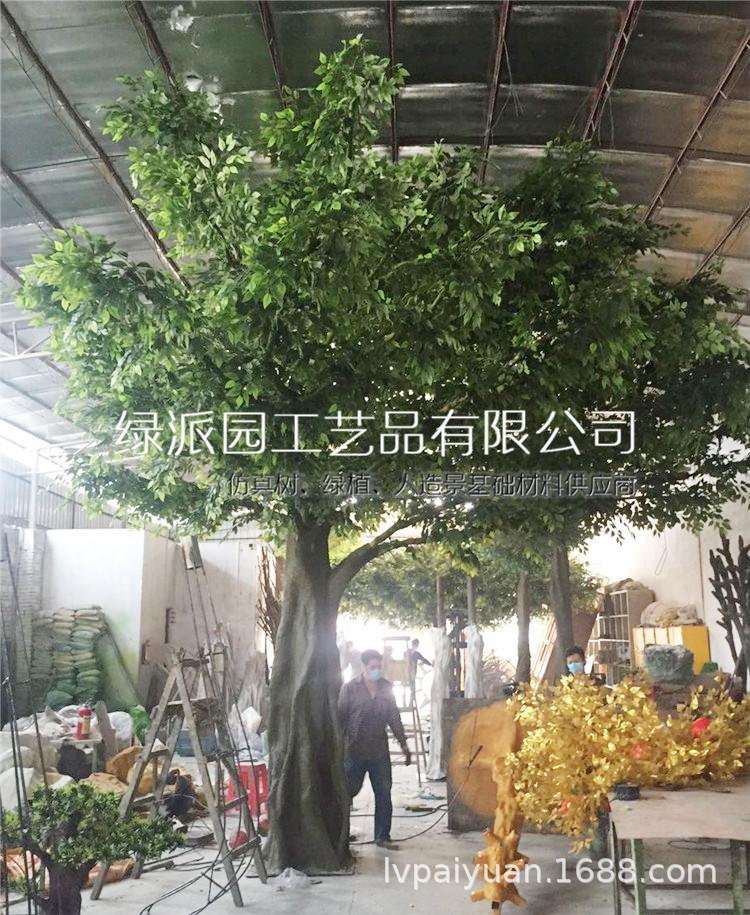 榕树053.jpg