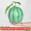 Frutas Simuladas, Modelos de Limón de Fruta Falsa, Accesorios de Fotografía de Manzana Falsa, Accesorios de Rama, Adornos Decorativos para Arreglo de Escena