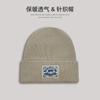 Chapéu de Lã Tricotado Outono e Inverno para Mulheres Estilo Japonês Estilo Urso Polar Fofo Aplique Chapéu Pulôver Chapéu de Lã Tricotado Quente Estilo Pele de Melão para Homens Tendência