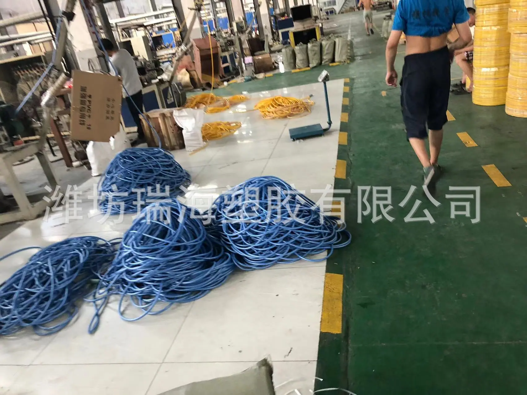 综合照片
