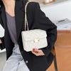 Bolsa de Mão Pequena de Primavera para Mulheres 2022 Nova Moda Tendência Acolchoada Bolsa de Corrente Celebridade da Internet Ins Bolsa Transversal de Ombro Versátil