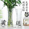 Vaso Grande Espessado Vidro Transparente Enfeites para Sala de Estar Plantas Hidropônicas Bambu Rico Lírio Flor Seca Vaso de Cerâmica