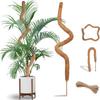 Columna de soporte flexible para trepar plantas, caña de coco flexible nueva, caña de musgo, caña de musgo flexible, poste de soporte