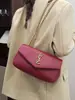 Bolso de Cadena de Moda de Alta Gama para Otoño e Invierno 2025, Bolso de Hombro Único, Cruzado, Bolso de Mujer de Moda, Bolso Pequeño Hobo Estilo Chanel