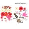 Bolsa de Flores Secas para Manualidades con Flores en Relieve, Marcapáginas de Flores en Relieve, Bolsa de Flores en Relieve, Material para Pintura en Relieve, Pegamento para Flores Reales, Hojas Secas