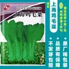 Dropshipping de sementes de vegetais de outono e inverno: espinafre, coentro, sementes de acelga chinesa, cebolinha de quatro estações, aipo, cebolinha e sementes de alho-poró