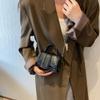 Mini Bolso Pequeño Nicho para Mujer 2022 Nueva Moda Otoño e Invierno Moda Bolso Cuadrado Pequeño Popular en Internet Estilo Extranjero Bolso de Hombro Cruzado para Mujer