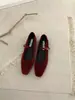 Novos Sapatos Mary Jane Quadrados de Salto Baixo para Mulheres 2026 com Uma Tira Única e Boca Rasa, Sapatos Individuais de Salto Grosso