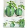 Melancia Artificial Melancia Falsa Modelo de Fruta Brinquedo Adereço Black Beauty Melão Kirin Melancia Grande Decoração de Loja de Frutas