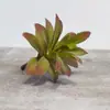 Venda Quente Transfronteiriça Cabeça de Flor Suculenta Simulada DIY Planta Flor Artificial Criativa Estilosa Planta Verde Decoração de Casa Fabricante da Fonte