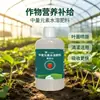 El fabricante suministra una solución nutritiva especial para las 'Bayas del Viejo Ocho' y un fertilizante especial para fresas, que elimina las hojas amarillas y las raíces podridas sin necesidad de dilución