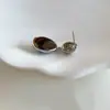 S925 Otoño e Invierno Nuevos Pendientes Coreanos Populares de Dongdaemun Pendientes del Cielo Estrellado Pendientes de Lujo Accesible de Alta Gama para Mujer Pendientes de Moda