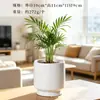 Vasos de Flores de Porcelana Branca Transfronteiriços Amazon Vasos de Cerâmica Simples Criativos Preto e Branco para Orquídeas de Interior Plantas Verdes