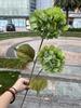 Hortensia verde de simulación de 2 cabezas Fabricantes Hortensia Xiyan de 2 cabezas blanca boda guía de camino decoración suave flor artificial al por mayor
