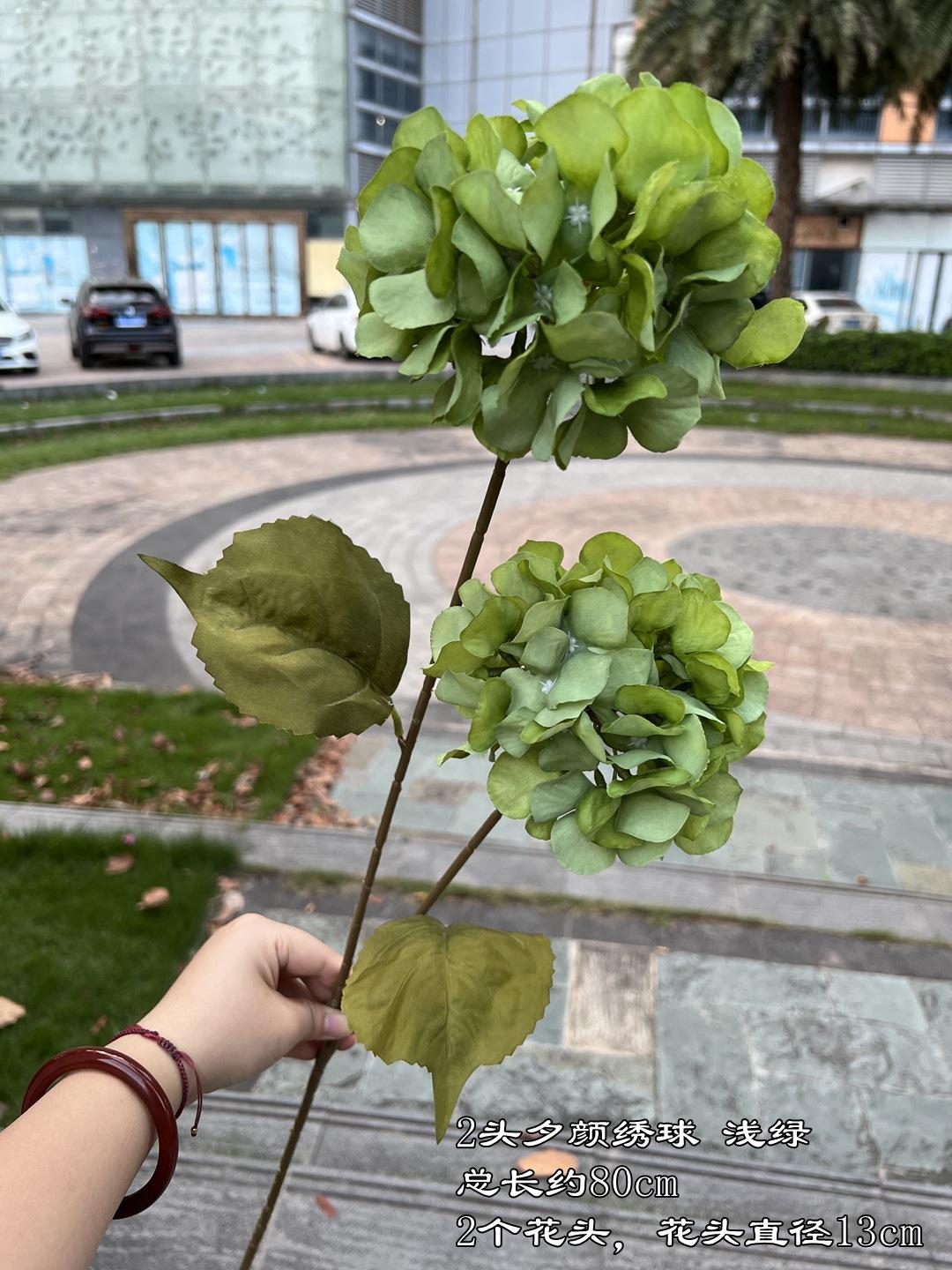 微信图片_20231106111913