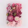Kit de Materiais de Flores Secas Transfronteiriças DIY Flor Eterna Porta-Retrato Materiais Manuais para Fazer Decorações de Presente de Feriado Venda por Atacado de Fabricantes