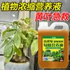 Solução Nutritiva para Plantas para Cultivo de Flores, Fertilizante Geral para Flores, Fertilizante Hidropônico, Solução Nutritiva para Plantas Verdes de Casa em Vasos Jiboia Atacado