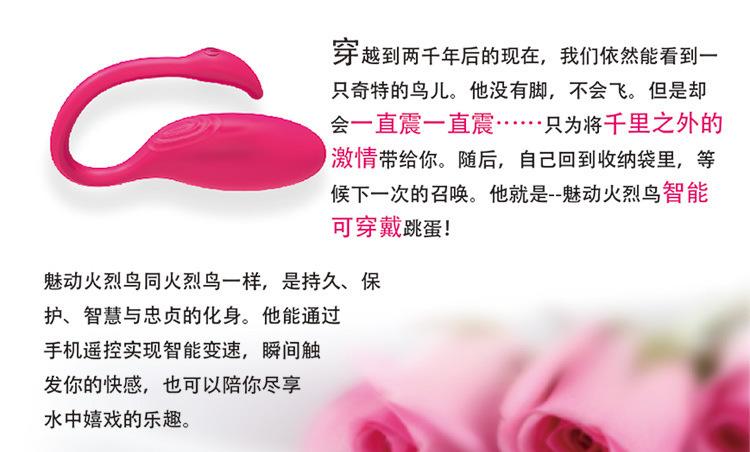 火焰鸟AI_02.jpg