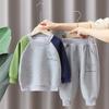 Bebê primavera roupa terno 2024 novos meninos primavera e outono patchwork manga dinossauro duas peças conjunto roupas de bebê moda