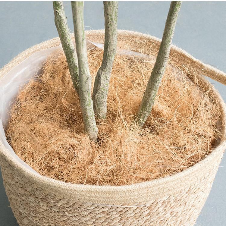 2025-09-10 15:06:37.jpg