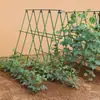 Estante para pepinos trepadores, estante para frijoles, estante para tomates, cobertizo para verduras, varilla de soporte para plantas, tubo de acero recubierto de plástico