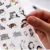Spot Corea lindo gato blanco y negro álbum de fotos pegatinas decorativas creativas transparentes PVC pegatinas álbum de fotos 6