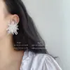 Aretes de fuegos artificiales de cristal Aurora, clips para orejas sin perforar, broche simple y genial, anillo, pasador de pelo, pinza lateral, pinza para flequillo