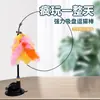 Brinquedo Varinha Cat Teaser, Brinquedo de Autoentretenimento de Alta Qualidade para Gatinhos, Haste Longa com Cabeça de Pena Substituível, Tipo Ventosa