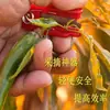 Ferramenta de Dedilhado Transfronteiriça, Faca Anel, Pequena Ferramenta de Colheita, Mini Guilhotina, Faca para Colher Frutas, Faca Universal Atacado